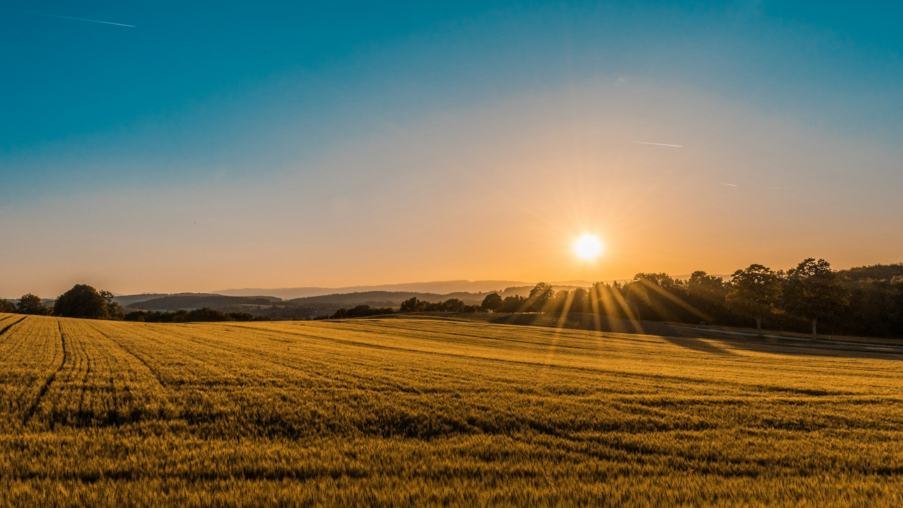 Sunlight across rolling agricultural fields